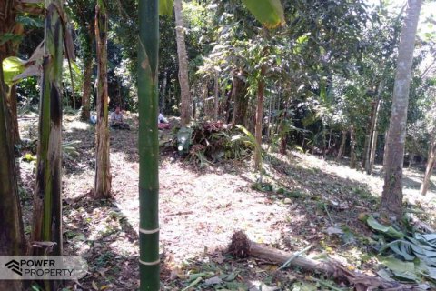 5270m2 Land in Tabanan,  (9211) 5