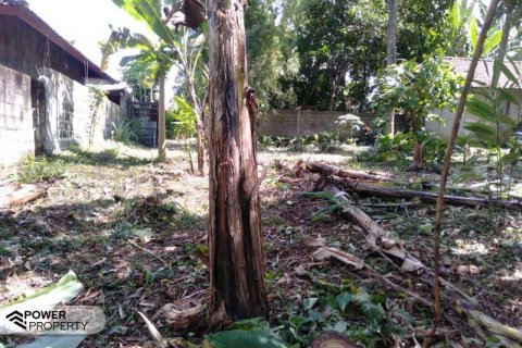 5270m2 Land in Tabanan,  (9211) 7