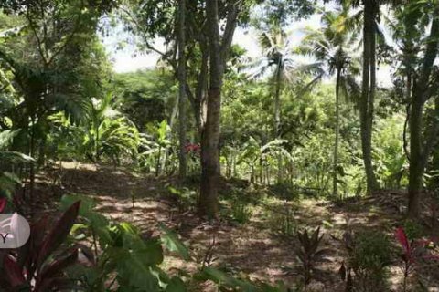 5650m2 Land in Tabanan,  (9212) 9