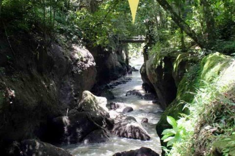 5650m2 Land in Tabanan,  (9212) 10