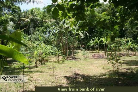 5650m2 Land in Tabanan,  (9212) 1