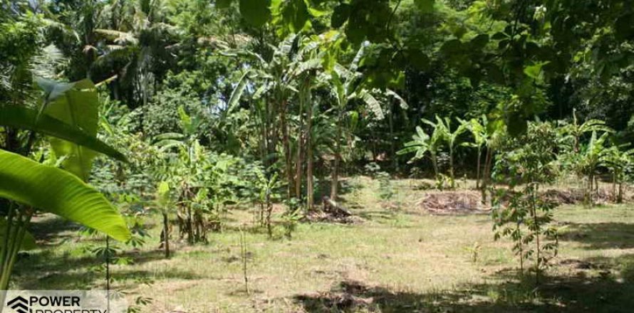 5650m2 Land in Tabanan,  (9212)