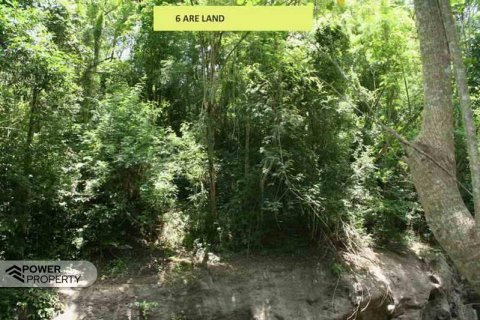 5650m2 Land in Tabanan,  (9212) 7