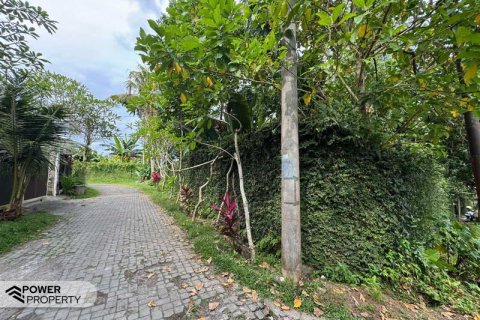 Земельный участок 1850м2 в Чангу, Бадунг,  (9213) 12