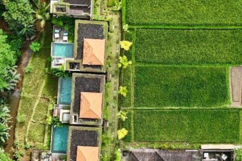 2 bedrooms Villa in Ubud, Gianyar, Bali (14372) 21
