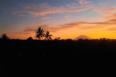 2 bedrooms Villa in Ubud, Gianyar, Bali (14372) 4