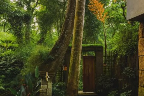 2 bedrooms Villa in Ubud, Gianyar, Bali (14372) 11