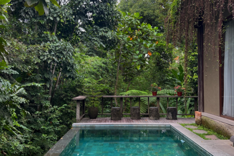 2 bedrooms Villa in Ubud, Gianyar, Bali (14372) 2