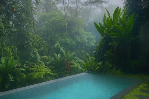 2 bedrooms Villa in Ubud, Gianyar, Bali (14372) 28