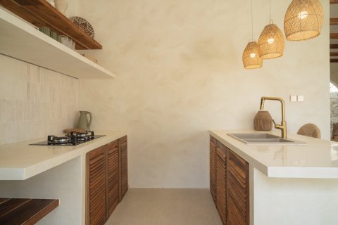 Вилла 110м2 в Бадунг, Бали (10230) 10