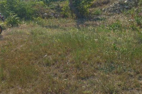 1950m2 Land in South Kuta, Badung, Bali (15841) 2