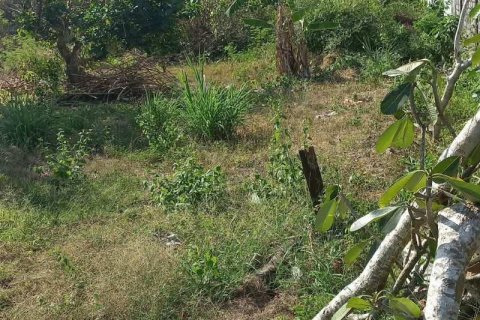1950m2 Land in South Kuta, Badung, Bali (15841) 4