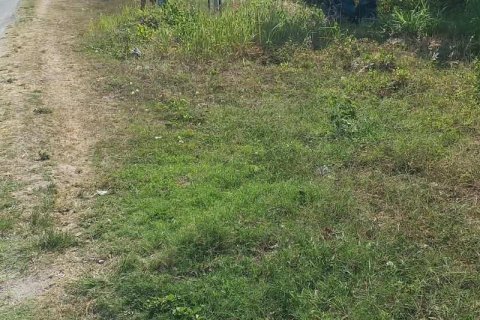 1950m2 Land in South Kuta, Badung, Bali (15841)