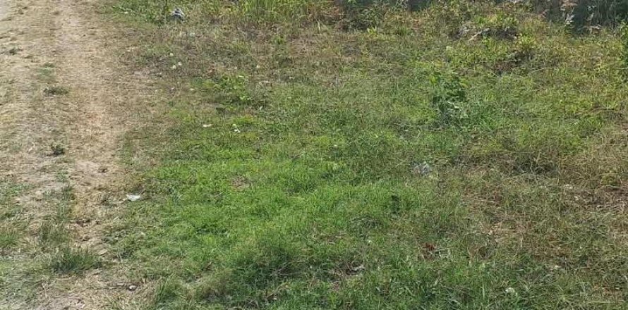 1950m2 Land in South Kuta, Badung, Bali (15841)