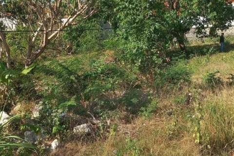 1950m2 Land in South Kuta, Badung, Bali (15841) 3