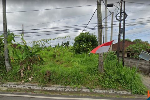 Land in Gianyar, Bali (12075) 2