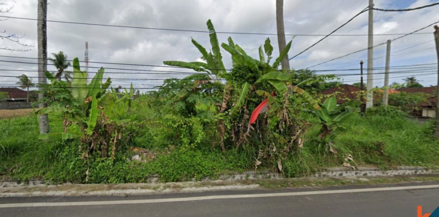 Land in Gianyar, Bali (12075)