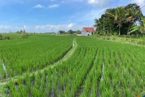 Land in Tabanan, Bali (12152)