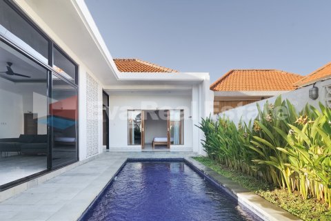 2 bedrooms Villa in Canggu, Badung, Bali (14749)