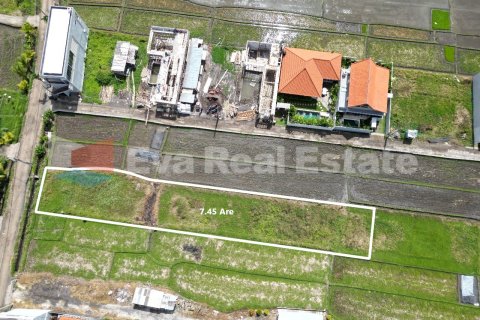 Земельный участок 745м2 в Цемаги, Менгви, Бадунг, Бали (14752) 3