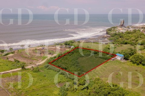 Land in Beraban, Kediri, Tabanan, Bali (15671) 2