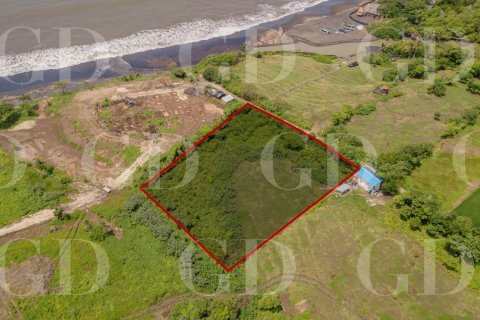 Land in Beraban, Kediri, Tabanan, Bali (15671) 6