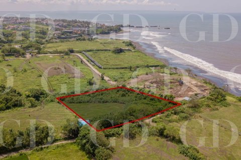 Land in Beraban, Kediri, Tabanan, Bali (15671)