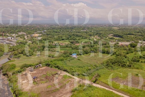 Land in Beraban, Kediri, Tabanan, Bali (15671) 9