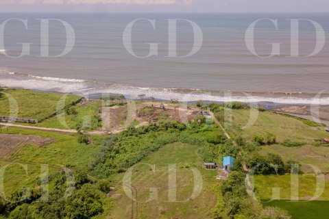 Land in Beraban, Kediri, Tabanan, Bali (15671) 11