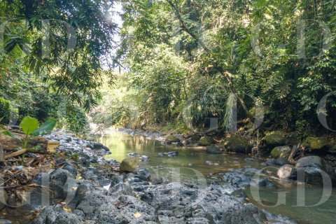 Land in Buwit, Kediri, Tabanan, Bali (15677)