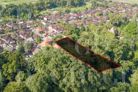 Land in Buwit, Kediri, Tabanan, Bali (15677) 2