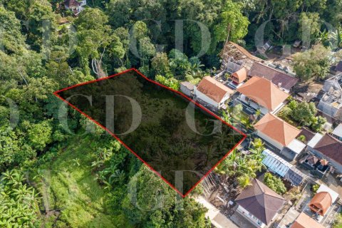 Land in Buwit, Kediri, Tabanan, Bali (15677) 5
