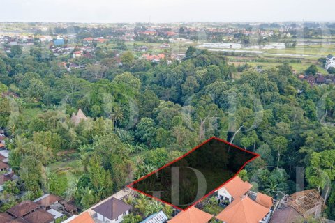 Land in Buwit, Kediri, Tabanan, Bali (15677) 4