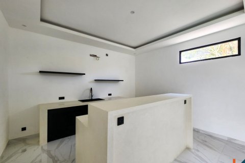 Вилла с 2 спальнями в Унгасан, Бадунг, Бали (11527) 9