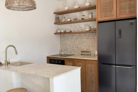 Вилла с 2 спальнями в Переренан, Менгви, Бадунг, Бали (10267) 3