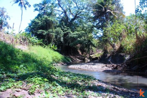 Land in Tabanan, Bali (12161)