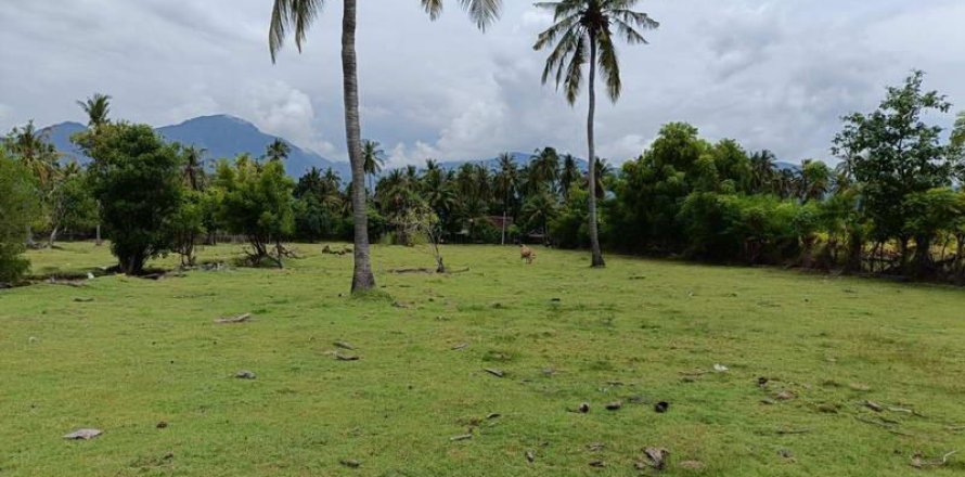 4800m2 Land in Lovina, Anturan, Buleleng, Bali (10682)