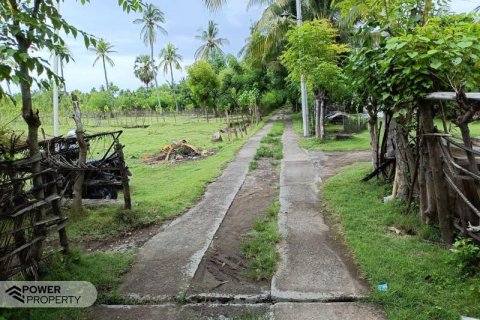 4800m2 Land in Lovina, Anturan, Buleleng, Bali (10682) 3