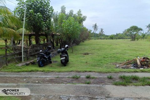 4800m2 Land in Lovina, Anturan, Buleleng, Bali (10682) 4