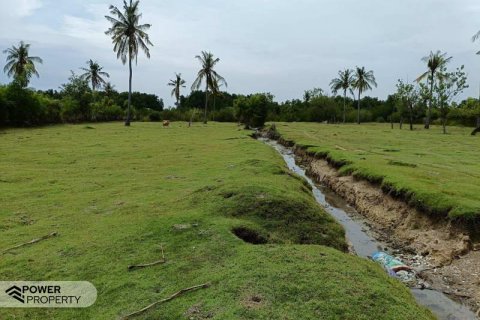 4800m2 Land in Lovina, Anturan, Buleleng, Bali (10682) 5