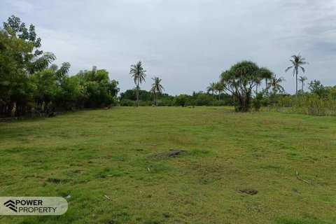 4800m2 Land in Lovina, Anturan, Buleleng, Bali (10682) 2