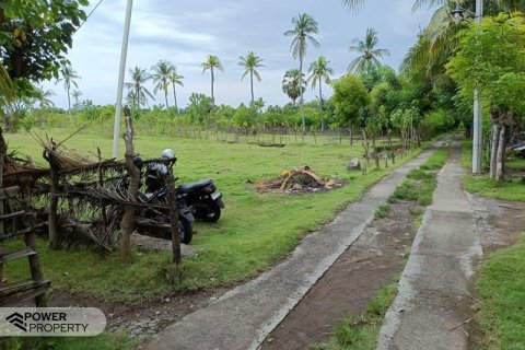 4800m2 Land in Lovina, Anturan, Buleleng, Bali (10682) 7