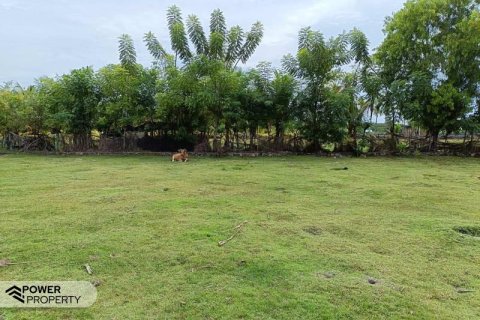 4800m2 Land in Lovina, Anturan, Buleleng, Bali (10682) 6