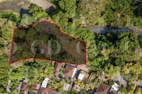 Land in Cepaka, Kediri, Tabanan, Bali (15694) 2