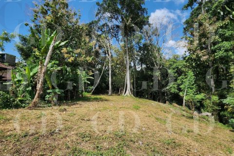 Land in Cepaka, Kediri, Tabanan, Bali (15694) 9