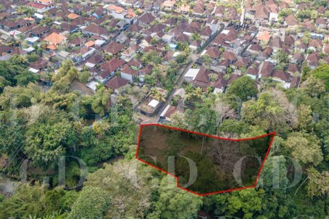 Land in Cepaka, Kediri, Tabanan, Bali (15694) 6