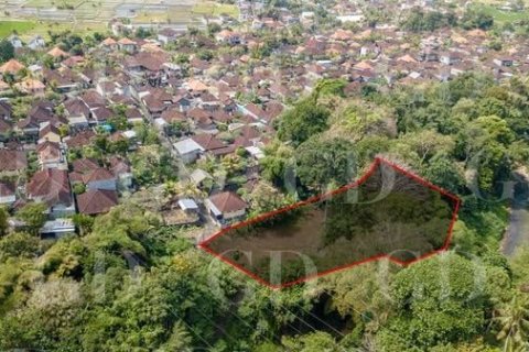 Land in Cepaka, Kediri, Tabanan, Bali (15694) 3