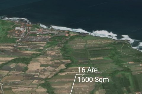 Land in Tabanan, Bali (12129)