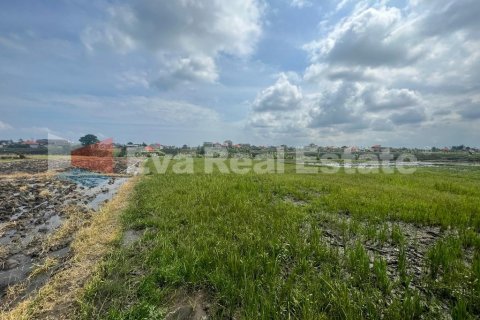 1900m2 Land in Munggu, Mengwi, Badung, Bali (2350) 4