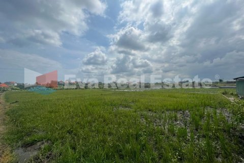 1900m2 Land in Munggu, Mengwi, Badung, Bali (2350) 2